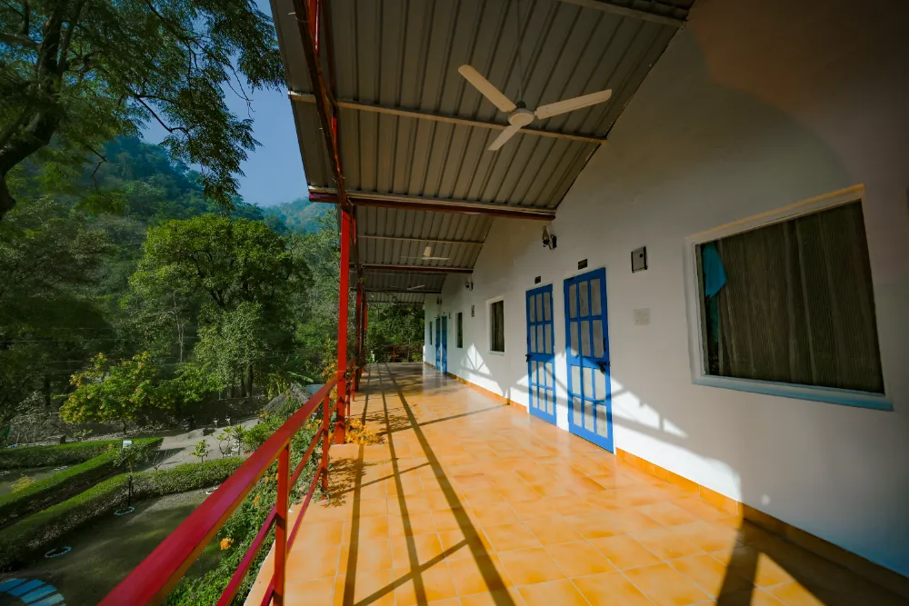 Yoga teacher training gallery