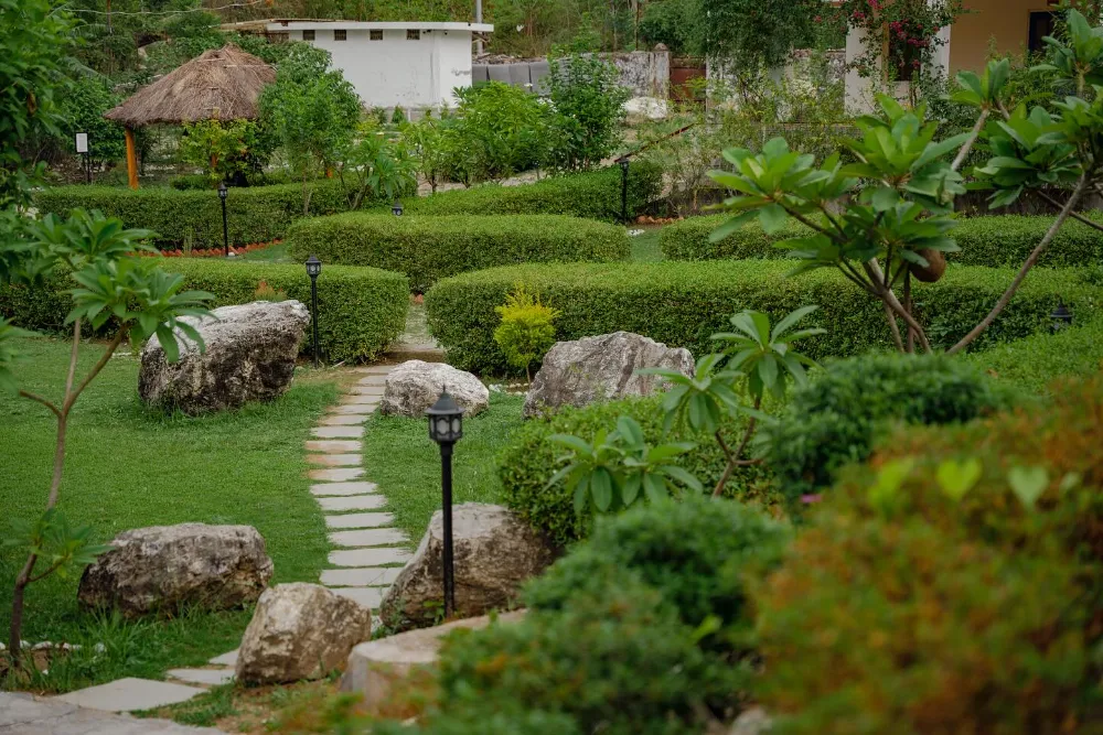 Yoga teacher training gallery