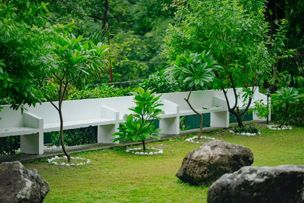 Yoga teacher training gallery