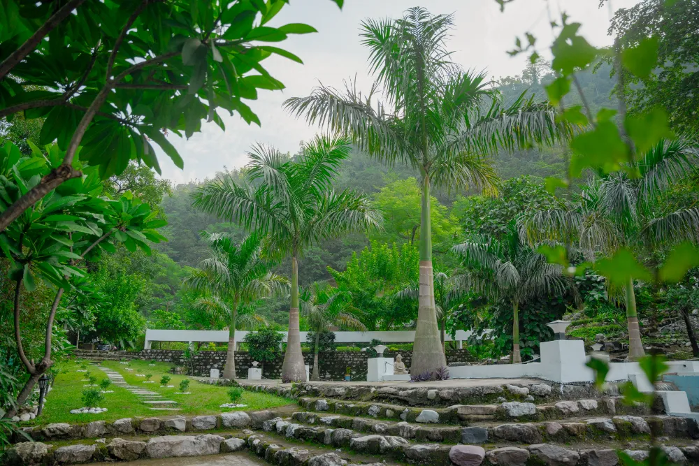 Yoga teacher training gallery