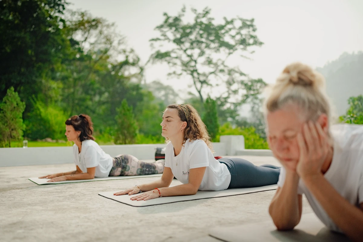 Participants practicing Hatha yoga in Adhiroha’s forest-view yoga shala