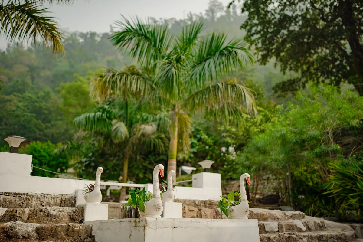 Group enjoying a sattvic vegetarian meal at Adhiroha’s dining area