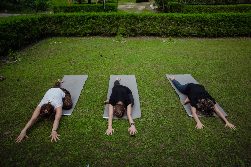 Yoga teacher training gallery