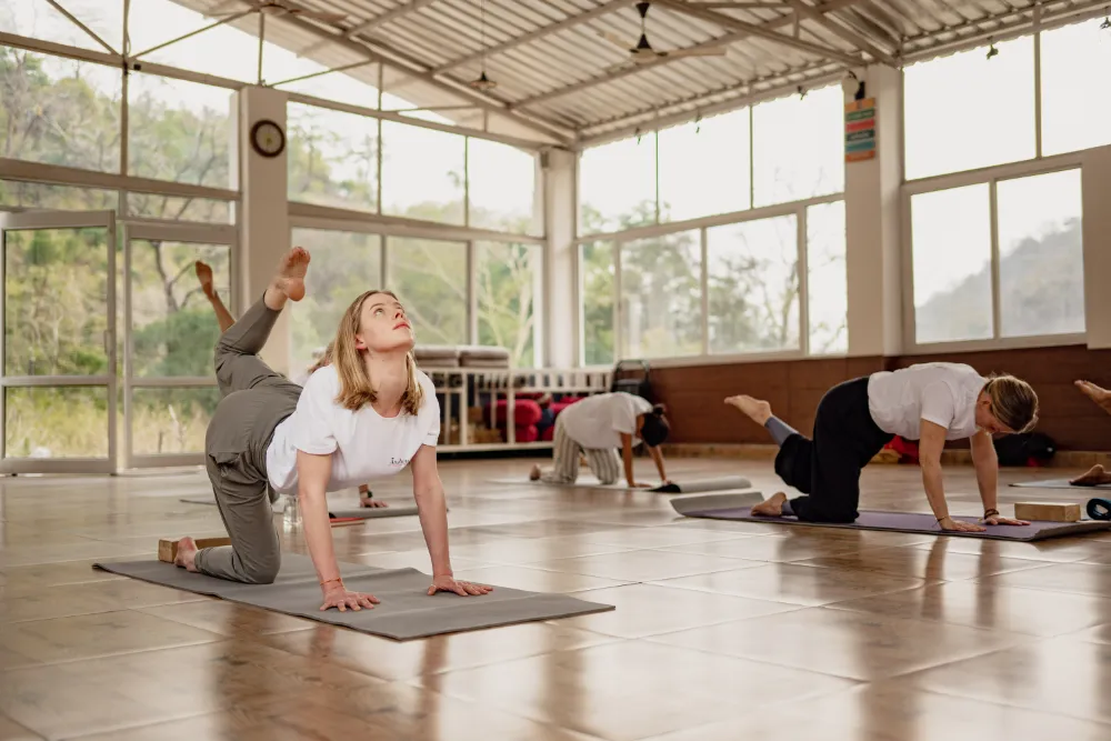 Yoga teacher training gallery