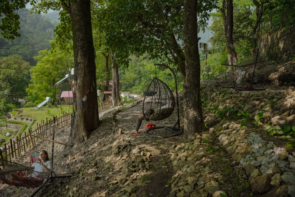 A hammock strung beneath the old forest trees