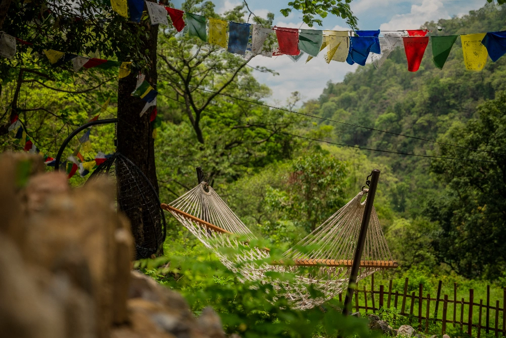 Prayer flags among the forested hills above Rishikesh