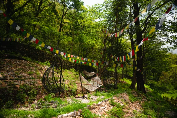 Die bewaldeten Hangwege rund um den Adhiroha-Ashram in Rishikesh
