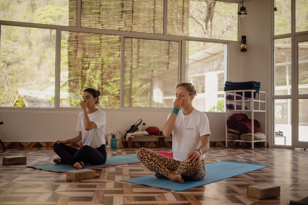 Yoga teacher training in india