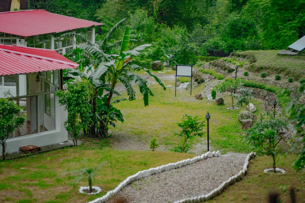 Yoga teacher training in india