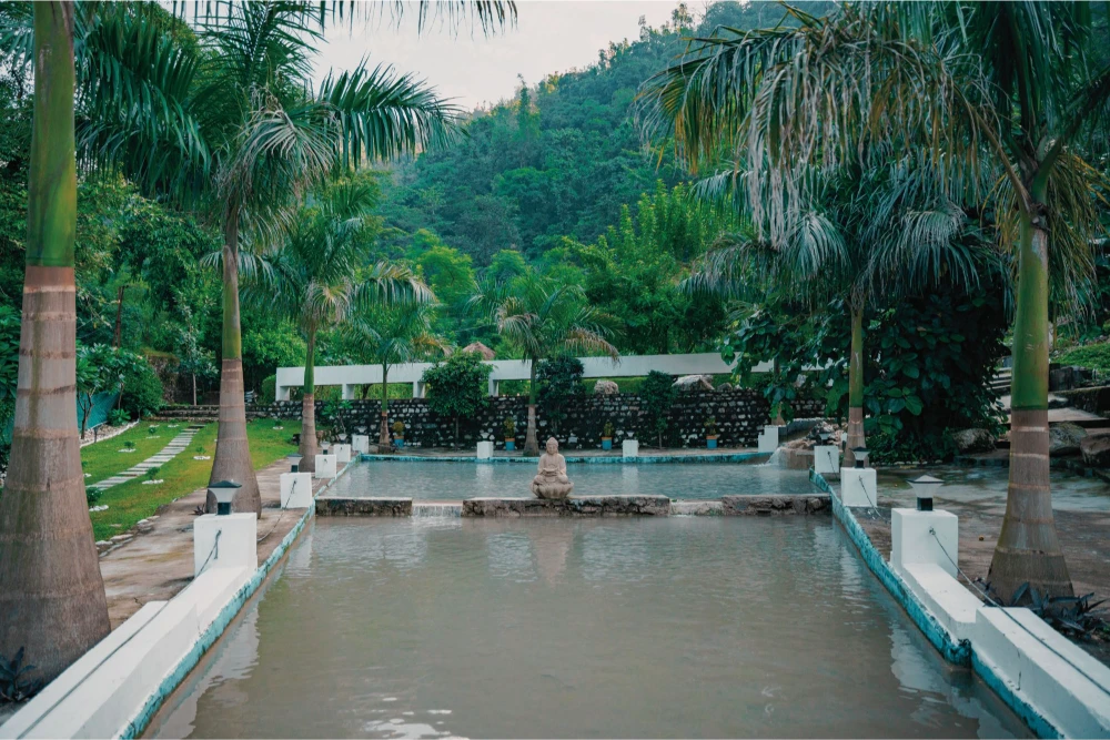 Yoga teacher training in india