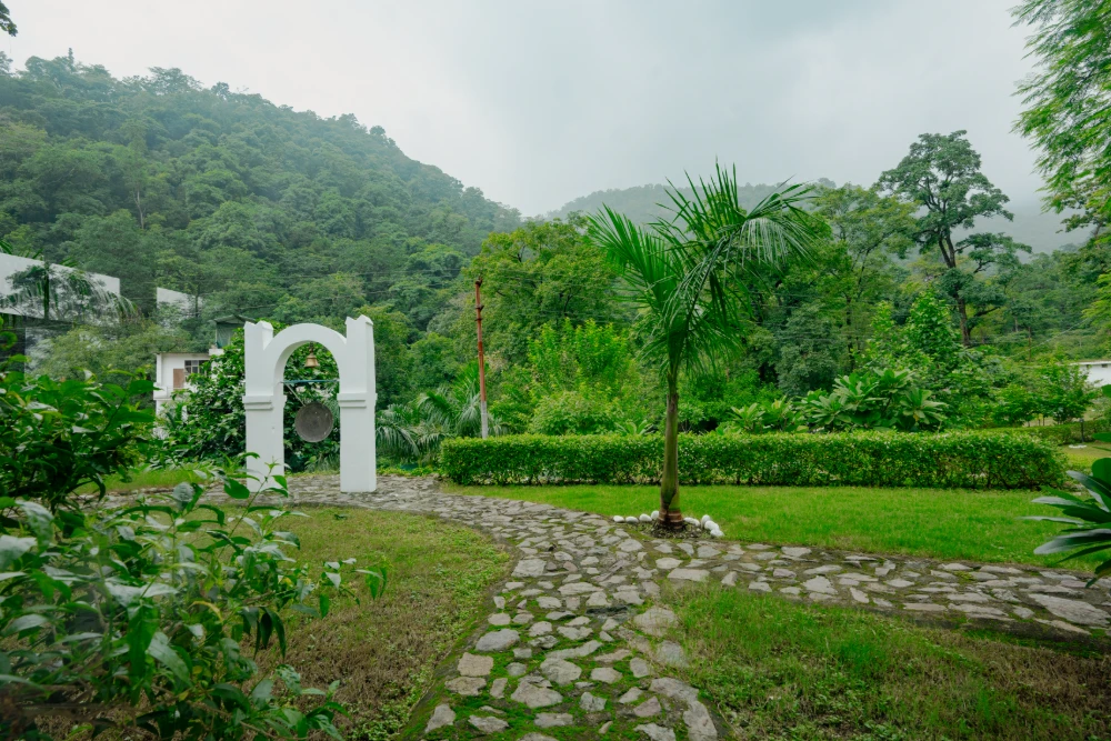 Yoga teacher training in india